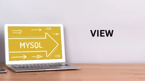 View database
